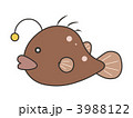 アンコウ