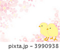 桜とひよこ