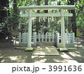 パワースポット鹿島神宮の要石（震災後）