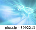 グローバルイメージ