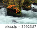 奥入瀬渓流　石戸の瀬