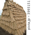 古代米のわらで造った竪穴住居
