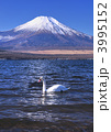 山中湖と富士山-77594