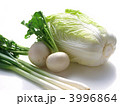 冬野菜