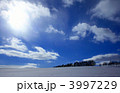 冬の空