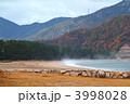 初冬の気比の松原