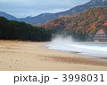 初冬の気比の松原