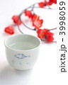 酒&amp;梅の花