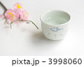 酒&amp;梅の花