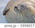 3998657