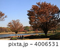 昭和記念公園
