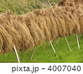 4007040