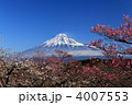 富士山と梅