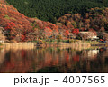 田貫湖の紅葉