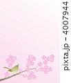 桜に鶯