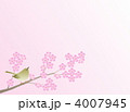 桜に鶯