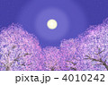 夜桜