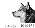 4010472