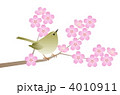 桜に鶯（小）