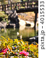 冬の白鳥庭園　中の池の山茶花