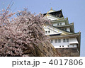 大阪城と桜