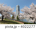 桜とランドマークタワー