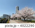 桜とランドマークタワー