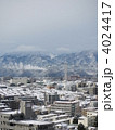 相模原の雪景色