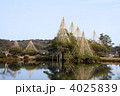 兼六園の唐崎松と霞ヶ池