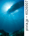 4026007
