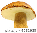 4031935