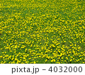4032000