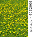 4032006