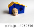 4032356