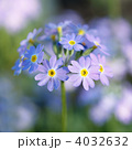 4032632