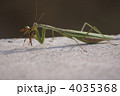 かじる
