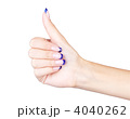 4040262