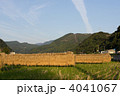4041067