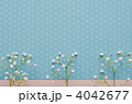 4042677