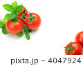 ミニトマトとミント