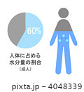 人体の水分量割合
