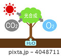 光合成