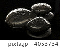 4053734