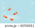 金魚-01■キンギョ・和金・流金・泡・波紋・夏イメージ