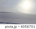 雪原と足跡