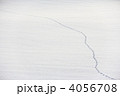 雪原と足跡