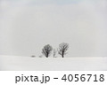 冬の親子の木