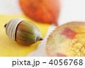 どんぐり