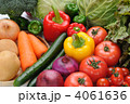 野菜集合 野菜集合