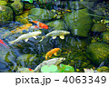 4063349